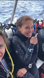 DIVE BUDDY CODE: Stay awake with the driver on the way home! 🤿✅👌#scubadiving #divetravel #divetrip #daytrip #boatdiving #sweetwaterscuba | Kenny Dyal