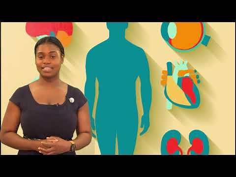 Integrated Studies How the Brain Heart & Skeleton Work Together Grades 1-3