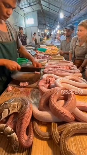 PrAss Ecko on Instagram: "A real traditional market where snake meat is sold openly and prepared on the spot. Western tourists watch in shock as vendors calmly cut and sell snake meat like everyday food. Would YOU try this? 😳🐍 #SnakeMeat #StreetFoodWorld #ExtremeFood #FoodCulture #ShockingFood #FoodDocumentary #TravelShock #WesternTourists #StreetFoodUSA"