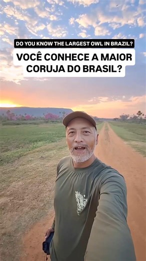 The largest owl in Brazil #birdphotography #pantanal #owl