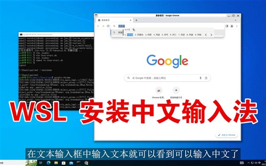 WSL安装中文输入法