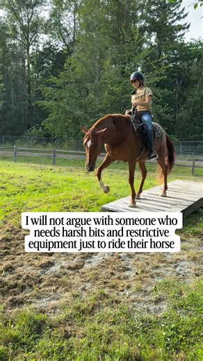 Milestone Equestrian, CEBC on Instagram: "I won’t debate ethics with people who lack ethics."
