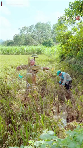 Video của FILM (@lananh.film) với bản nhạc âm thanh gốc - FILM