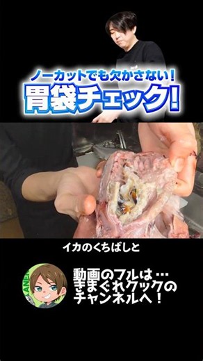 10キロのブリを10分で捌くきまぐれクック！胃袋チェックも欠かさない！
