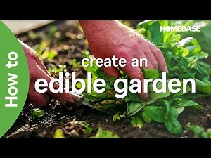 How to create an edible garden with Ann-Marie Powell | Garden Goals | Homebase