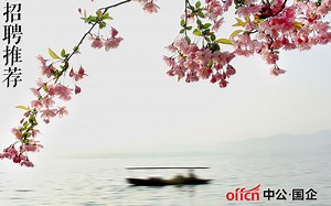 2019国企招聘——职业生涯规划（下）