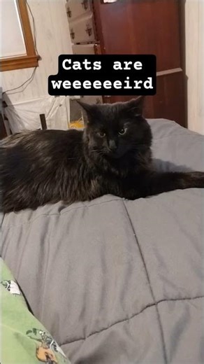 I think he's counting the snow flakes that are hitting the roof