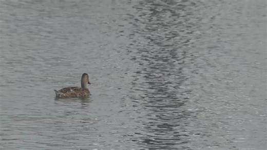 Potomac River shows gradual progress, but ongoing risks