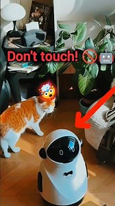 Living in 2050 with these Smart Gadgets! 🚀 - Oddware Tech #shorts