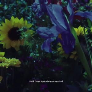 Don’t miss the fairest of them all - the 25th annual Epcot Flower & Garden Festival - now through May 28. See it with the Florida Resident Discover Disney ticket. 3 Days for $159 plus tax. | Walt Disney World