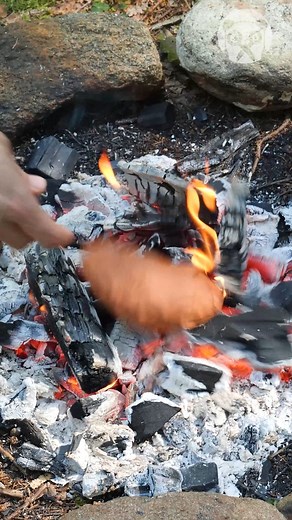 Cooking Meat In the Forest! | Crafty Panda