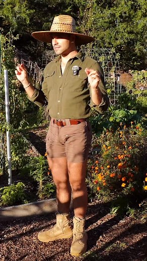 What is the future of Redleaf?! 🤩🍁✨ #garden #farmlife #abundance | Redleaf Ranch