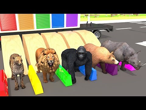 Bài Hát Con Voi Bản Đôn | Nhạc Thiếu Nhi Sôi Động | Nhạc Thiếu Nhi Cho Bé Vui Nhộn | Nursery Rhymes