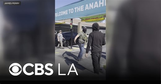 Immigration agents clash with Anaheim auto shop workers