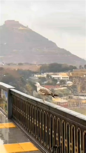 VISIT_ORAN on Instagram: "Bonjour ❤️ #oran #algerie #beautiful"