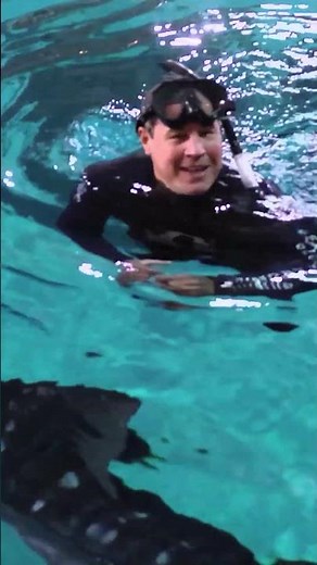 Jeff Corwin's Whale Shark Diving Adventure #shorts