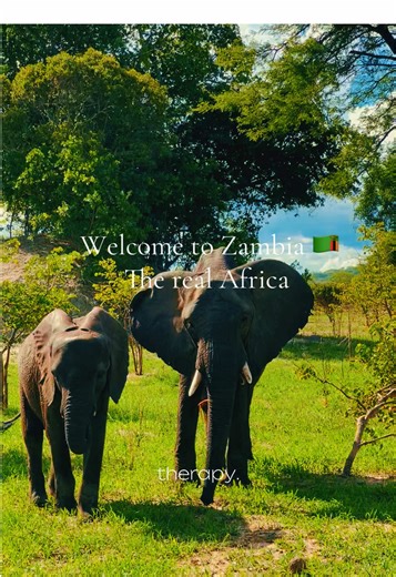 Explore the Beauty of Zambia: Travel Insights 2025