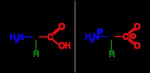 Tautomer - Alchetron, The Free Social Encyclopedia