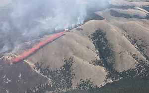 Forest fire burning in Idaho and Montana 10% contained - East Idaho News