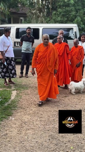 අපේ මෙහෙණින්වහන්සේට අවසන් ගෞරවය දක්වන්න අනුරාදපුර ඉදන් මෙහෙට වැඩම කරපු අපේ මෙහෙණින් වහන්සේලා ❤️🙏🙏 #lokuayiya #maupiya_sewana #ලොකු_අයියා #සිල්_මැනියෝ #kaluthara @ලොකු අයියා 👑️