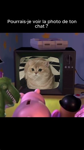 Pov :tu adore les chats #repost #freevcroblox #memes #chat #cat #cute