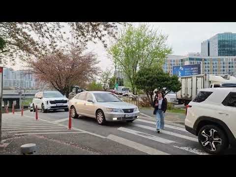 Evening Walk Along Anyangcheon to Gasan Digital Complex | Real Seoul Life 4K 60fps