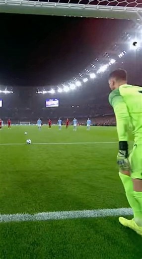 Goalkeeper scores! Longest goal in soccer history!