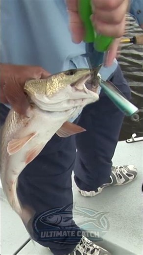 Fish In Every Direction… Then A Big One Shows Up
