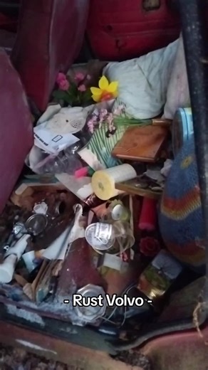 Exploring a Vintage Volvo 142 in a Junkyard