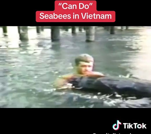 canitellstevekoozer on TikTok