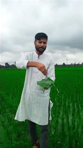 বাস্তব জীবনে প্রমাণীত। #brainchildjuwel #motivation