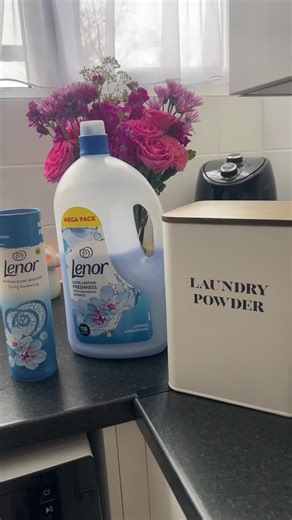 Laundry Day Routine with Spring Awakening