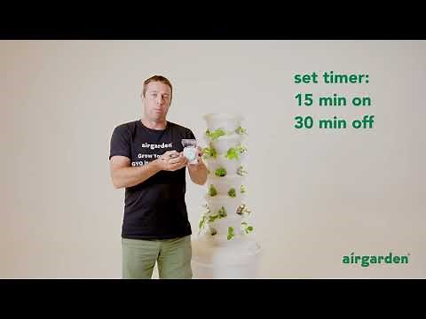 How to set up your timer