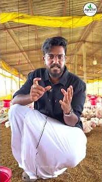 Best Water Solution for Poultry Farms | Scaleout System Explained #himajal #waterfilterpoultry