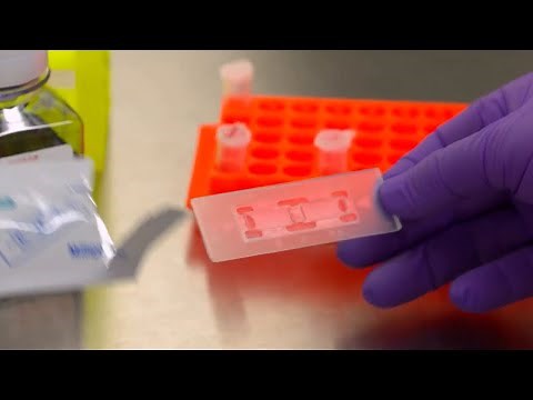 How to use a Hemocytometer for Tissue Culture Cell Counting