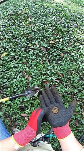 Detector de metales Nokta Simplex Lite