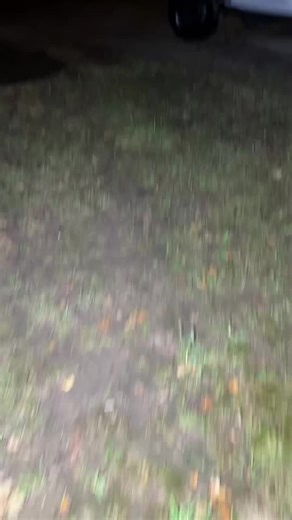 Play Stupid Games, Win Stupid Prizes: Jeep Life Mishaps