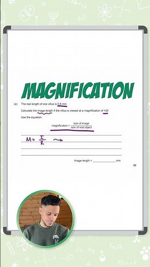 GCSE Biology: Easter Bootcamp | Magnification