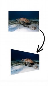 How to Change Perspective in Canva (Simple Photo Effect!)