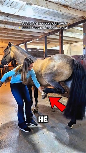 You Won’t Believe How He Helped the Horse 😱🐴 #shorts