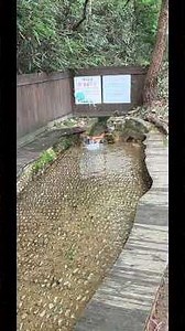월출산 국립공원 경포계곡 #가볼만한곳