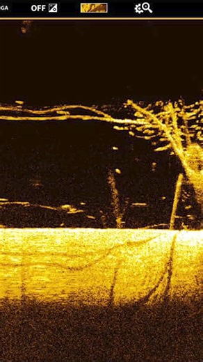 172K views · 764 reactions | This sight only means one thing. Fish tacos for dinner!  #MEGAImaging #CrappieFishing #DownImaging #Humminbird | Humminbird | Facebook