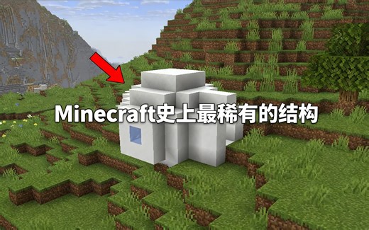 [中配]Minecraft史上最稀有的结构 - Skip the Tutorial