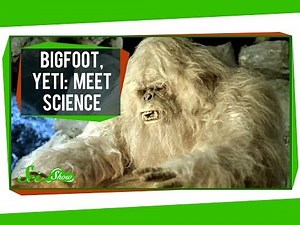 Bigfoot, Yeti: Meet Science