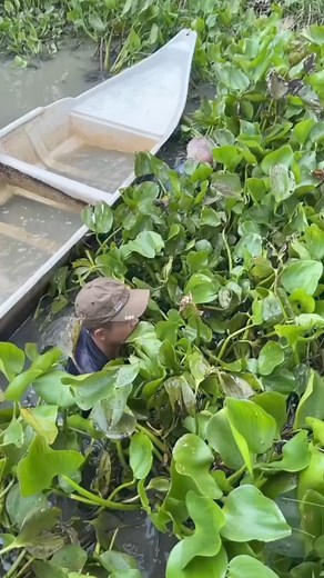 Así es como pescan a los peces en la India | Carla Silva