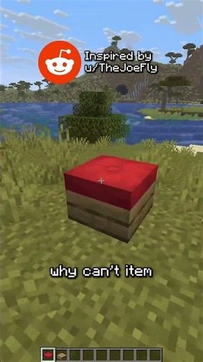 Minecraft Item Frames Need One Upgrade
