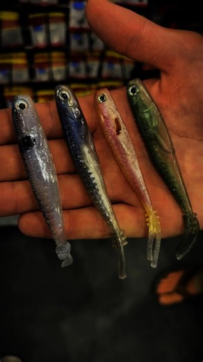 All NEW! SPOTLIGHT MINNOW at the 2025 ICAST Showcase! �� #BigBiteBaits Designed by Big Bite Baits Pro Drew Gill! �� Tailored for Forward Facing Sonar! � Finding fish is one thing — making them bite is another, and this is where the Spotlight Minnow shines. A hollow body design and wedge-angle tails allow for superior action, movement and hookups. In fact, the tip of the tail is tapered to catch water and is slightly off-center, resulting in a bait that rolls beautifully. The Spotlight Minnow wil
