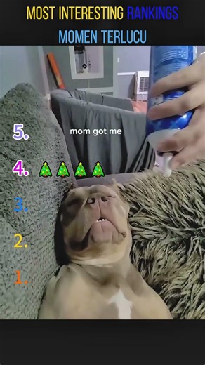 TOP5 MOMEN TERLUCU #funny #funnyvideos #comedy #viral #memes #lol #haha #laugh #funnymoments#top