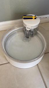 Astronaut at Home - just repaired the feline crew water aeration system. | Col. Chris Hadfield