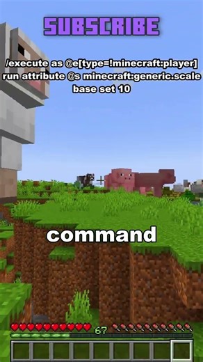 Cool Minecraft Commands